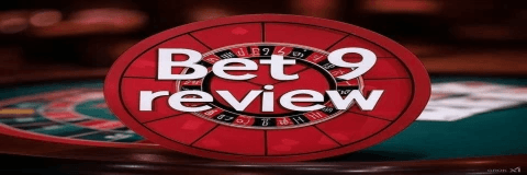 Bet365 app download play store - Bzibet
